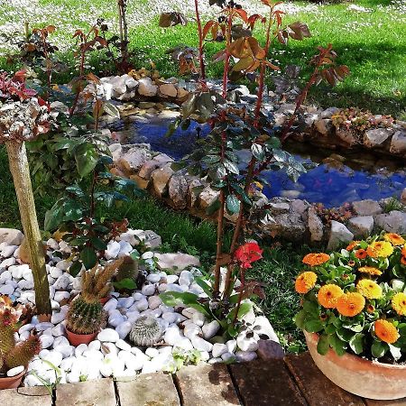 La Ginestra Bed & Breakfast Сироло Екстериор снимка