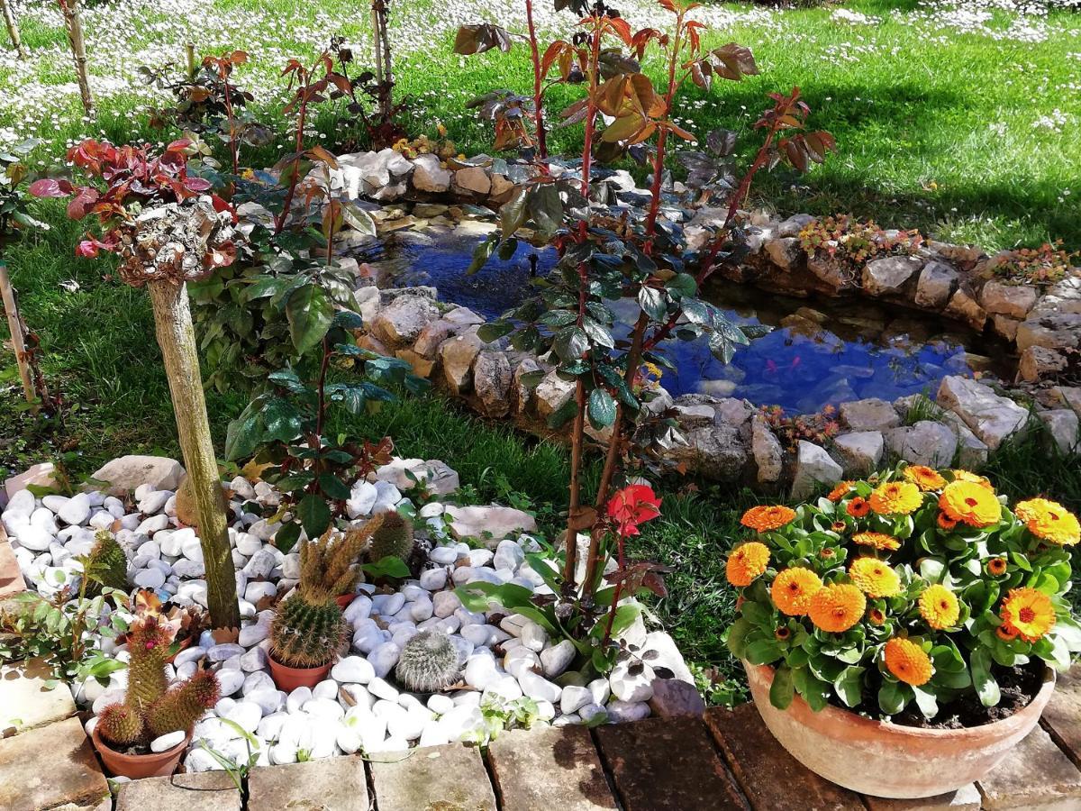 La Ginestra Bed & Breakfast Сироло Екстериор снимка