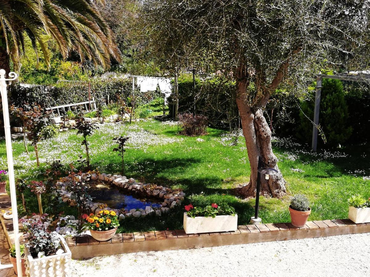La Ginestra Bed & Breakfast Сироло Екстериор снимка